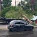 Vídeo: chuva com ventania causa destruição e transtornos em Manaus
