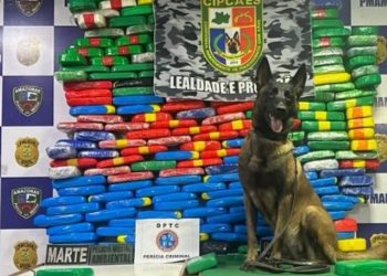 Barco que saiu de Tabatinga com destino a Manaus carregava 255 quilos de cocaína