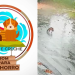 Vídeo mostra veterinária arremessando cachorros por cima de muro e causa revolta