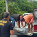 Filho de caseiro é executado a tiros após homens pedirem ajuda para veículo ‘no prego’