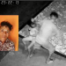 Vídeo: Mulher com bebê no colo é agredida por marido com socos e chutes na rua