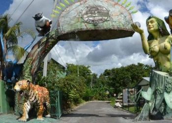 Parque Estadual Sumaúma oferece programação gratuita neste sábado (18)