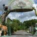 Parque Estadual Sumaúma oferece programação gratuita neste sábado (18)