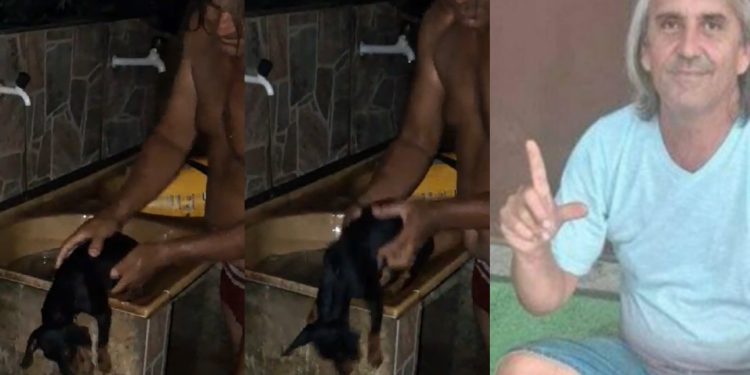 Vídeo: político viraliza tentando afogar cachorro no tanque para ‘salvar a vida dele’