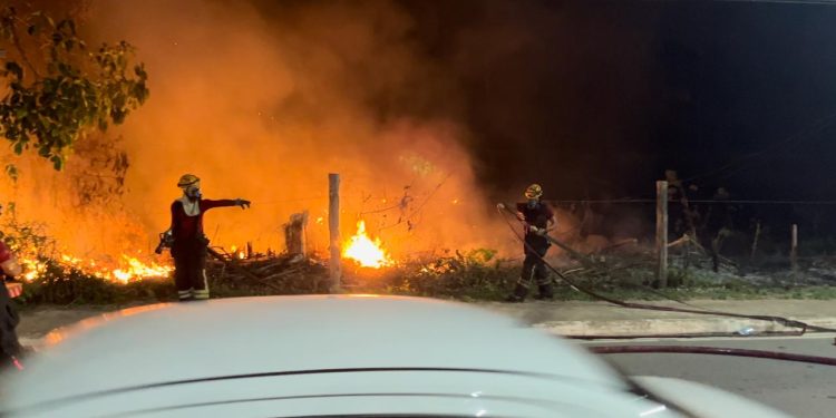 Moradores acreditam que incêndio no Lírio do Vale foi criminoso