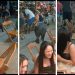 Anta na balada! desfile inesperado de animal em bar pega clientes de surpresa