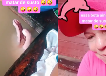 Vídeo: ‘Quase infarto, garota’, diz mulher que viralizou ao encontrar boto-fêmea lavando a louça em casa flutuante
