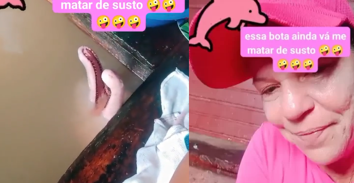 Vídeo: ‘Quase infarto, garota’, diz mulher que viralizou ao encontrar boto-fêmea lavando a louça em casa flutuante