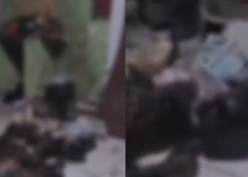 Bizarro: corpo de homem carbonizado é encontrado em quitinete em Manaus; vídeo