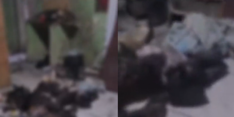 Bizarro: corpo de homem carbonizado é encontrado em quitinete em Manaus; vídeo