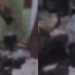Bizarro: corpo de homem carbonizado é encontrado em quitinete em Manaus; vídeo