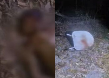 Mais dois corpos, um quase com a cabeça decapitada, são encontrados em igarapé em Manaus