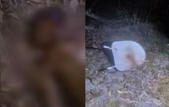 Mais dois corpos, um quase com a cabeça decapitada, são encontrados em igarapé em Manaus