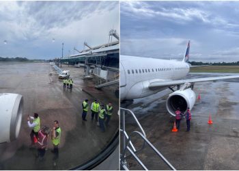 Decolagem é interrompida após pássaro bater em avião; veja vídeo