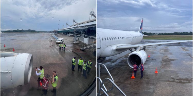 Decolagem é interrompida após pássaro bater em avião; veja vídeo