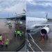 Decolagem é interrompida após pássaro bater em avião; veja vídeo