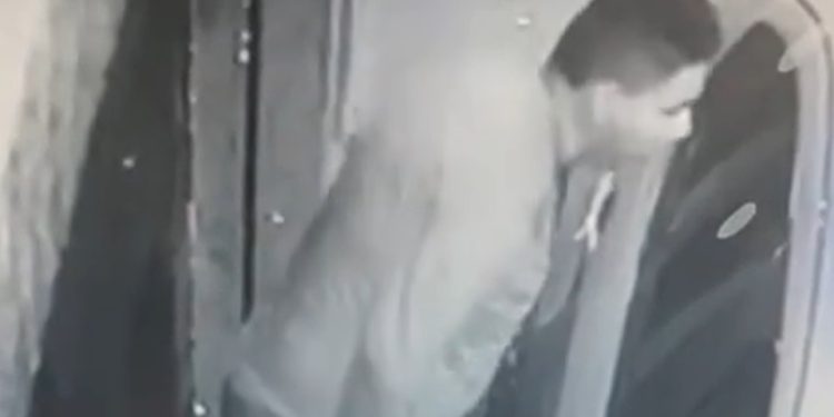 Câmera flagra homem defecando em Manaus, limpando com folha e dando “confere” com a mão