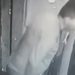 Câmera flagra homem defecando em Manaus, limpando com folha e dando “confere” com a mão