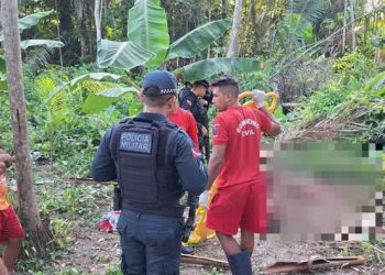 Menina de 3 anos e a mãe, grávida, são mortas a terçadadas em área de mata