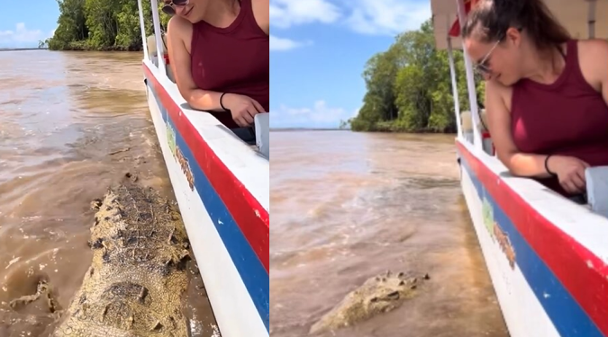Vídeo: Turista viraliza ao ‘interagir’ com jacaré maceta ao lado de lancha no Amazonas