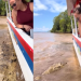 Vídeo: Turista viraliza ao ‘interagir’ com jacaré maceta ao lado de lancha no Amazonas