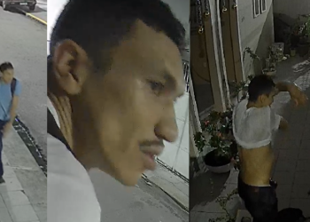 Todo molhadinho: Ladrão pula muro de casa no Parque Dez e na volta despenca em piscina; veja