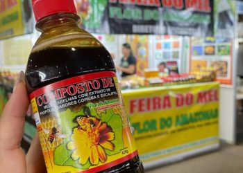 Mel do Amazonas é consagrado o melhor do Brasil em premiação nacional