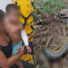 Garoto de 2 anos é atacado por sucuri de 6 metros enquanto os pais trabalhavam