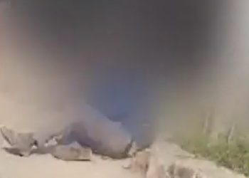 Vídeo mostra suposto assaltante sendo espancado momentos antes de ser morto em Manaus