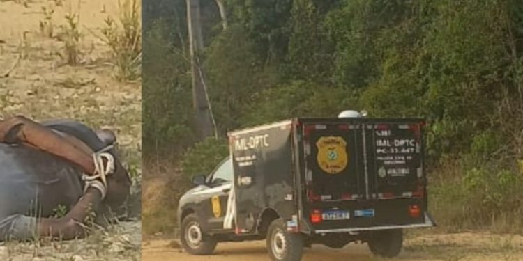 Castigo na estrada: homem é amarrado, amordaçado e morto na AM-010