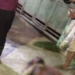 Corpo de homem é encontrado morto após pedradas e pauladas no Crespo