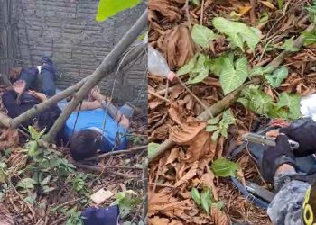 Vídeo: Rocam passa o rodo em bandidos armados no mato, em Manaus