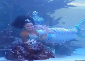 Vídeo mostra momento em que ‘sereia’ fica presa pela cauda e luta para não morrer afogada