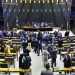Congresso rejeita vetos de Lula ao marco temporal