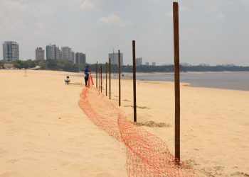 Prefeitura solicita laudos técnicos para avaliar a possível liberação da Praia da Ponta Negra