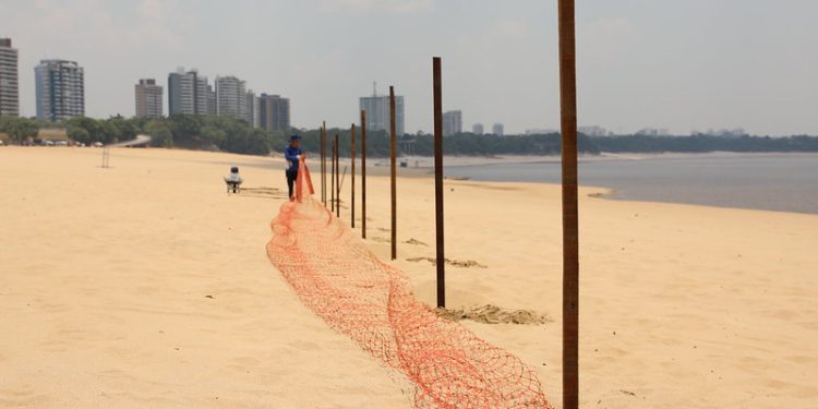 Prefeitura solicita laudos técnicos para avaliar a possível liberação da Praia da Ponta Negra