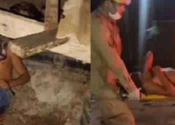 Ladrão de galinhas leva tiro na bunda