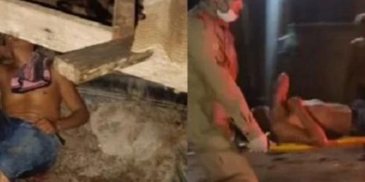 Ladrão de galinhas leva tiro na bunda