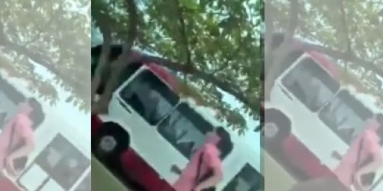 ASSISTA: Ladrões assaltam 64o e passageiros pulam de ônibus em movimento