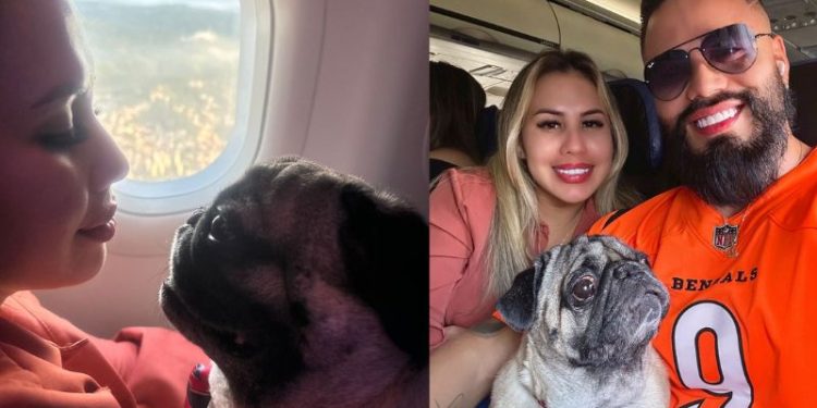 Tutora que teve viagem de cão negada em cabine consegue reverter situação na Justiça