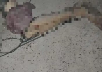 Moradores de invasão no São Pedro escutam tiros e encontram C2d4v3r