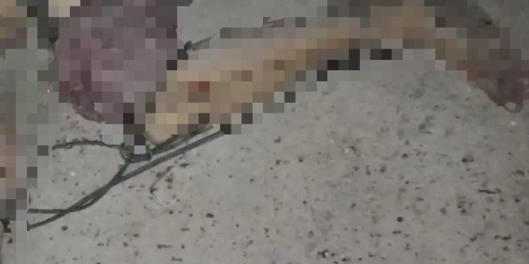 Moradores de invasão no São Pedro escutam tiros e encontram C2d4v3r