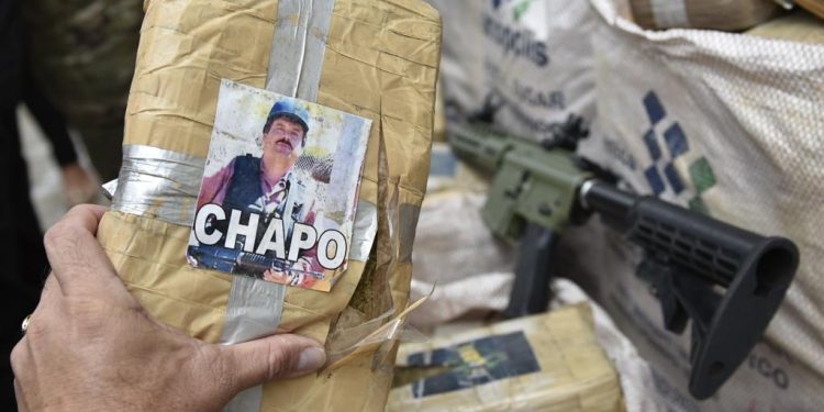 Tráfico no AM perdeu 12 toneladas de drogas e teve prejuízo de R$ 167 milhões em 2023