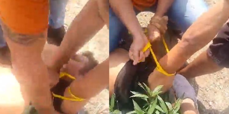 Vídeo: suspeito de roubo em Manaus é amarrado e surrado pela comunidade