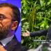 Após ‘puxar orelha’ de empresa por causa do nome ‘Amazon’, Wilson Lima consegue investimento milionário