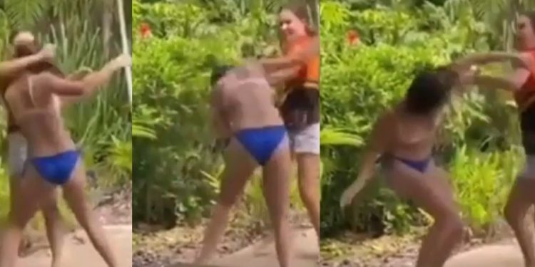Vídeo forte: chamada de feia, gringa abre live e quebra nariz da talarica no Insta