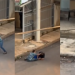 Vídeo: Homens saem no soco no Parque Amazônia e o final da briga surpreende todo mundo