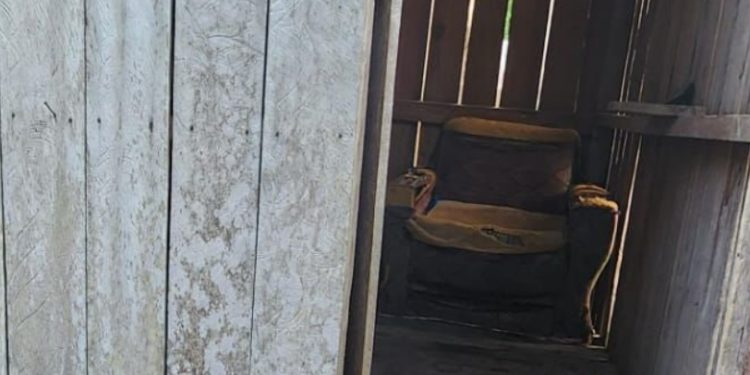 Pai e madrasta são presos por deixarem menino de 10 anos em casinha de cachorro no AM