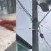 Moradores filmam trabalhador que levou descarga fulminante no poste em Manaus; veja