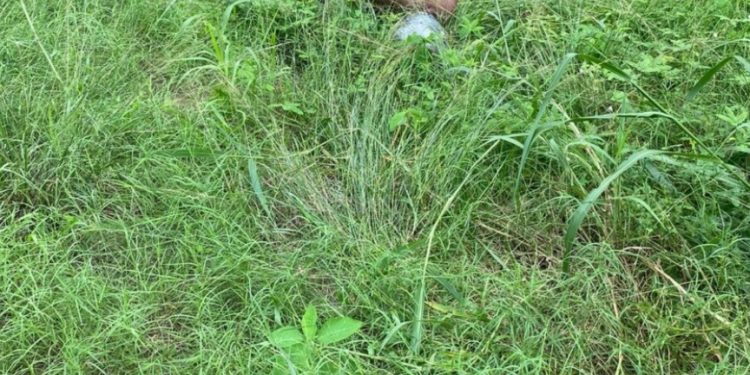 Vídeo: bandidos amarram homem e batem nele até a morte em Manaus